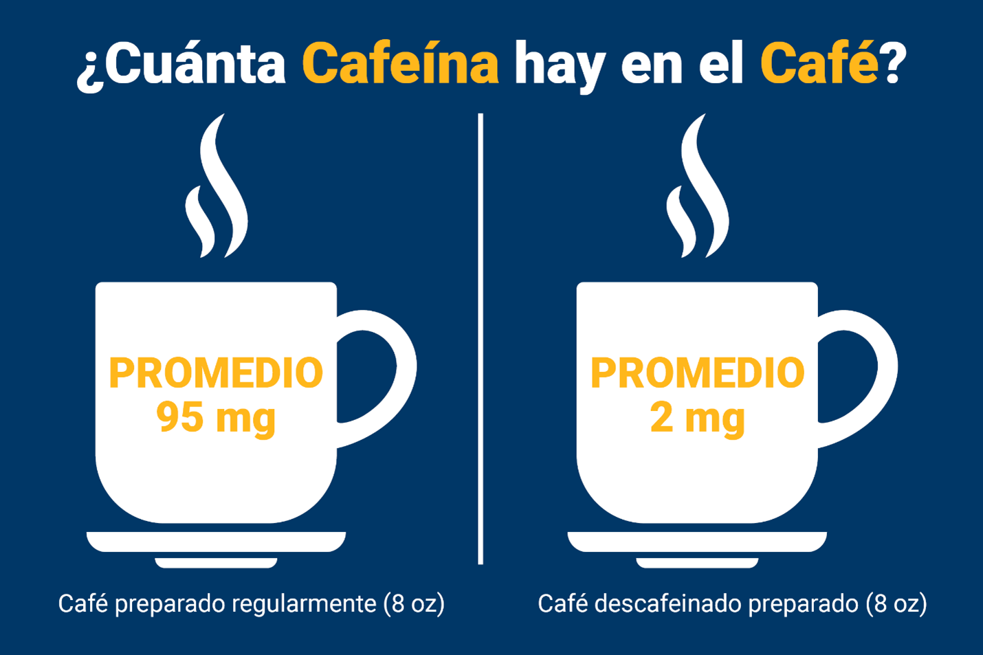 Café en Números