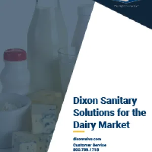 Dairy Market Brochure