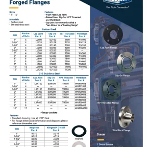 150 lb ASA Forged Flanges