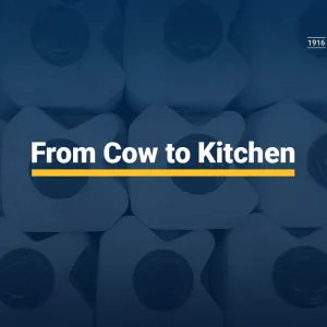 From Cow to Kitchen