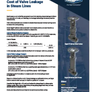Quantifying the Cost of Valve Leakage in Steam Lines