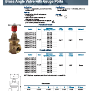 Factory Set Pressure Reducing Brass Angle Valve with Gauge Ports