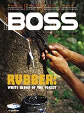 Dixon Boss Spring 2007 thumb