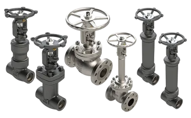 Dixon bellows sealed valves