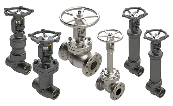 Dixon bellows sealed valves