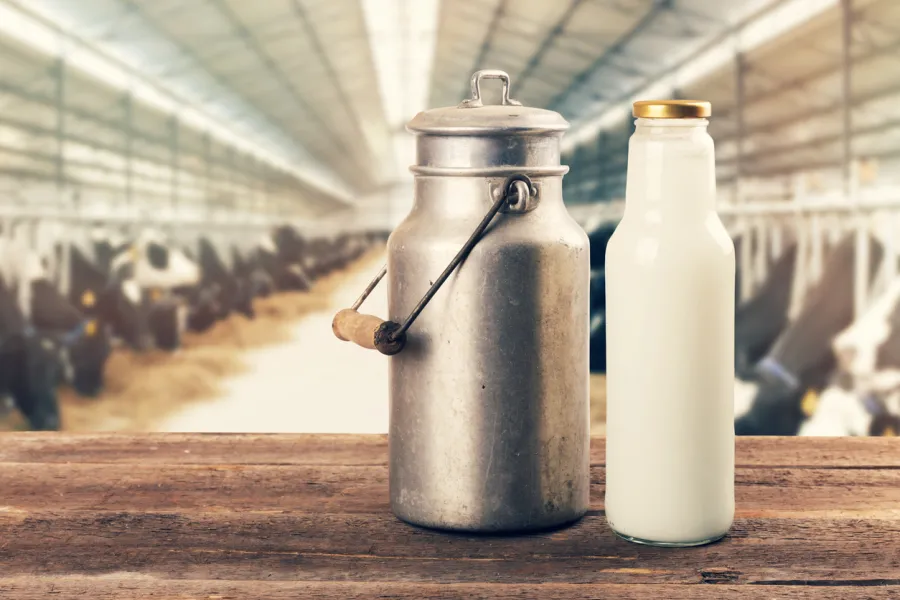 Dairy's Haul Across America