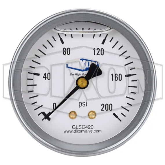 Liquid Filled Center Back Mount Stainless Case Gauge