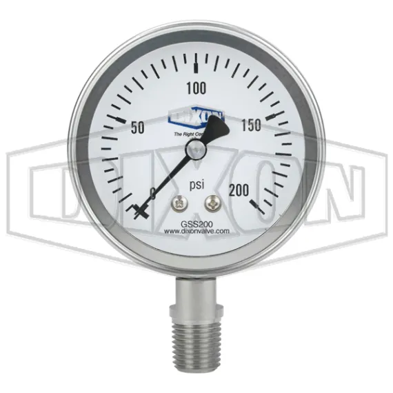 Stainless Steel Dry Lower Mount Gauge