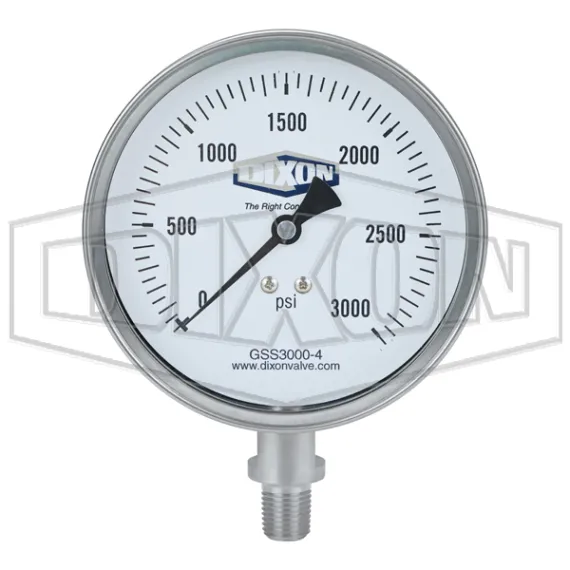 Stainless Steel Dry Lower Mount Gauge