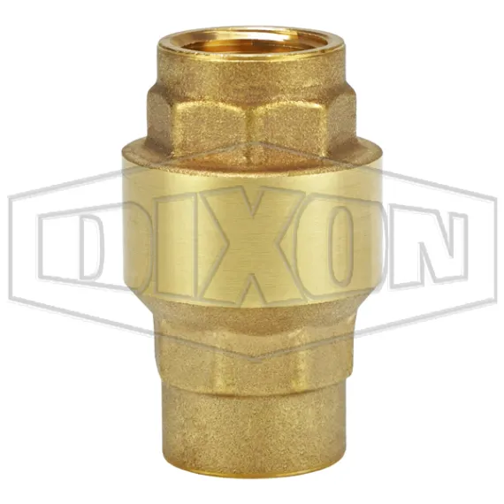 Spring-Loaded Check Valve