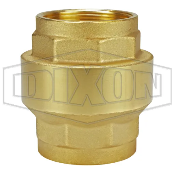 Spring-Loaded Check Valve