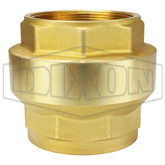 Spring-Loaded Check Valve