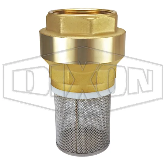 Strainer with Spring-Loaded Check Valve