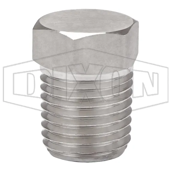 Hex Head Plug
