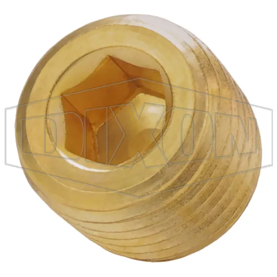 Hex Socket Plug