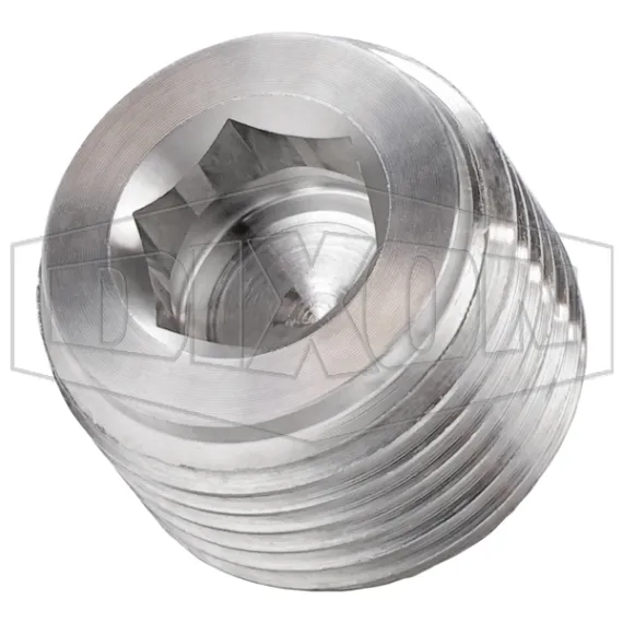 Hex Socket Plug