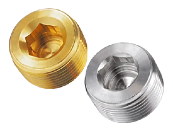 Hex Socket Plug