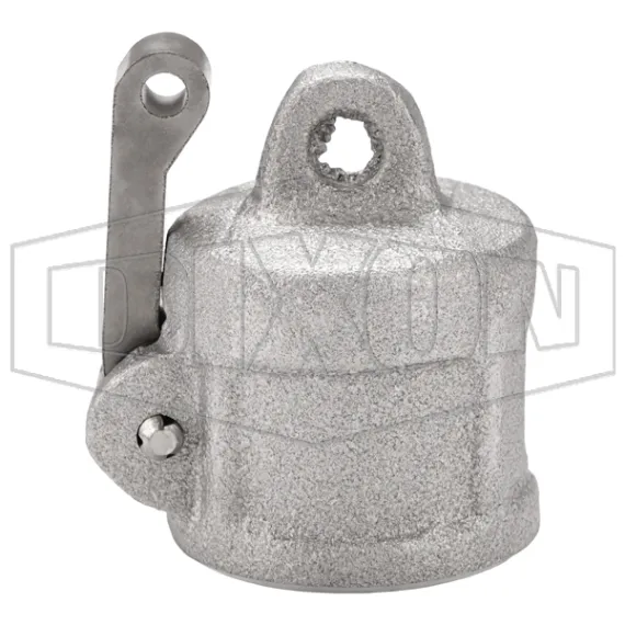 Dixon Cam & Groove Type DC Dust Cap