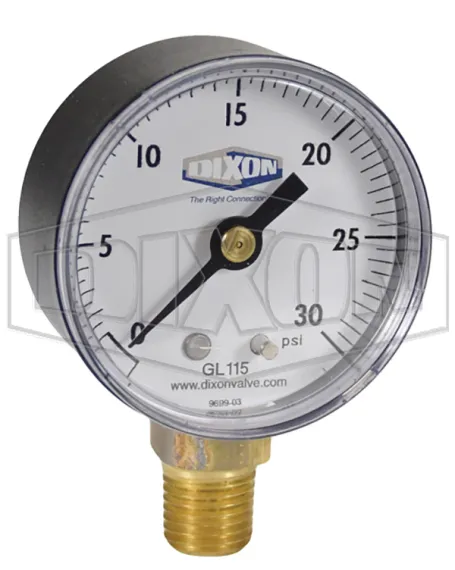 ABS Standard Dry Lower Mount Gauge