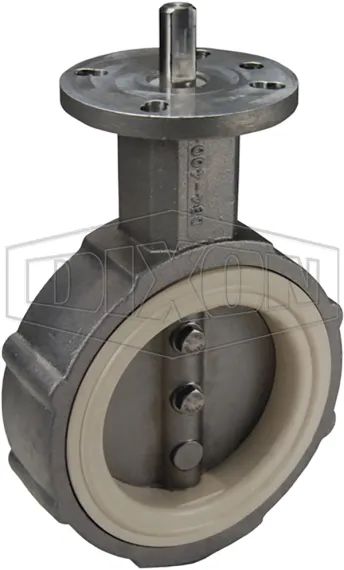 Butterfly valve with stainless disk