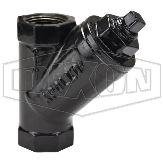 Cast Iron Y Line Strainer