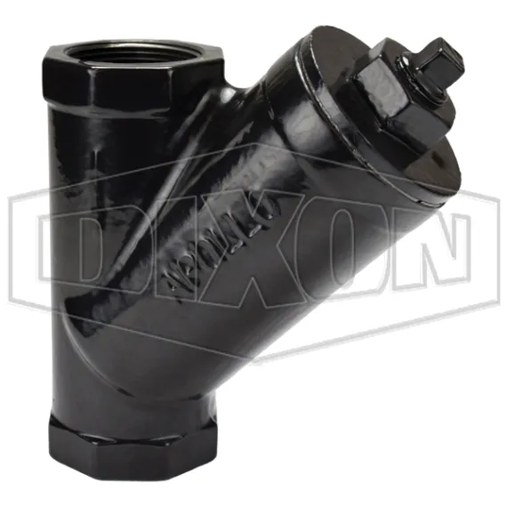Cast Iron Y Line Strainer