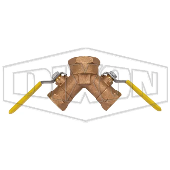 Dual Y Valve