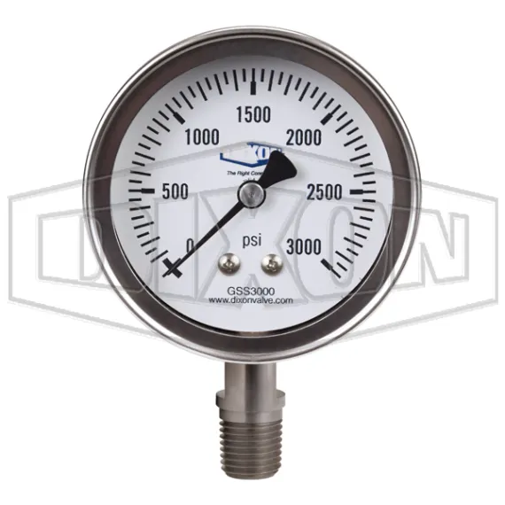 stainless-steel-dry-lower-mount-gauge_gss3000_color_lg_watermarked.jpg