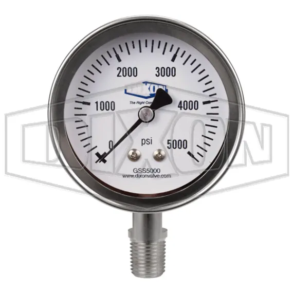 stainless-steel-dry-lower-mount-gauge_gss5000_color_lg_watermarked.jpg