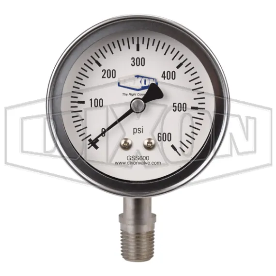 stainless-steel-dry-lower-mount-gauge_gss600_color_lg_watermarked.jpg