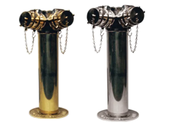 Two Way Sidewalk Siamese Assembly