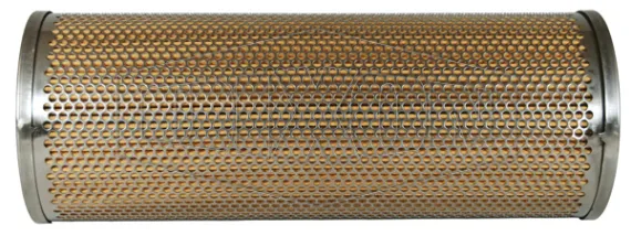 pneuclean filter element