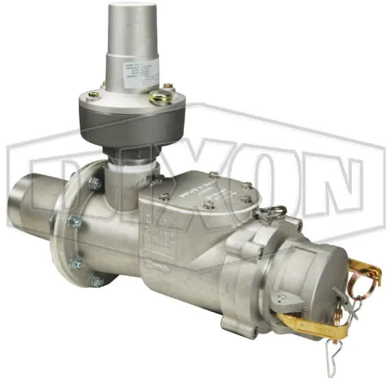 Swing Check / Air Relief Manifold