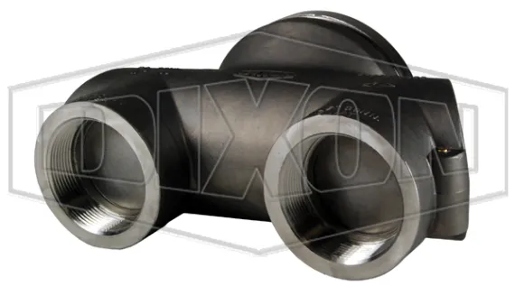 concealed siamese body