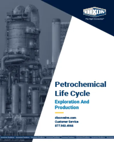 Petrochemical Life Cycle Exploration And Production