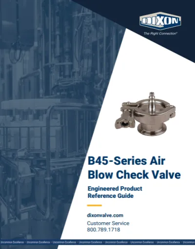 B45-Series Air Blow Check Valve