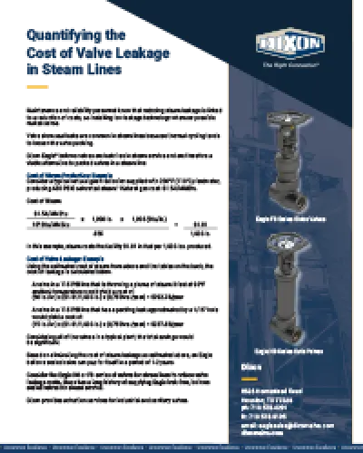 Quantifying the Cost of Valve Leakage in Steam Lines