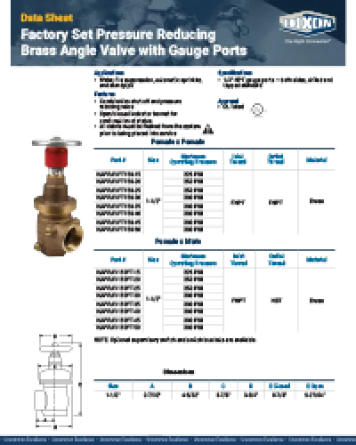 Factory Set Pressure Reducing Brass Angle Valve with Gauge Ports