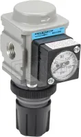 Wilkerson FRLs R08 Miniature Regulator