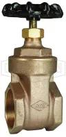 gate valve
