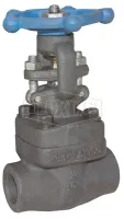 gate valve_forged steel