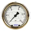 Brass Liquid Filled Center Back Mount Gauge