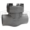 Check Valve