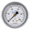 Liquid Filled Center Back Mount Stainless Case Gauge