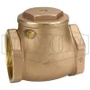 Horizontal Swing Check Valve