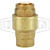 Spring-Loaded Check Valve