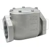 Bayco® High Flow-Series Swing Check Valve Female NPT