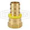 Female 37° JIC Swivel x Push-on Hose Barb