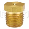 Hex Head Plug