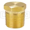 Hex Head Plug